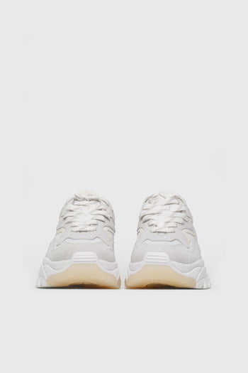Sneaker Addict Bianco - 4
